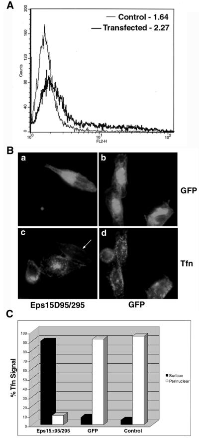 FIG. 1.