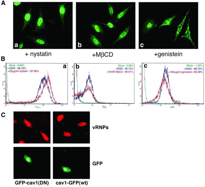 FIG. 7.