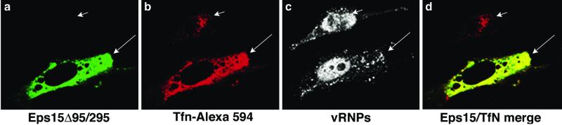 FIG. 4.