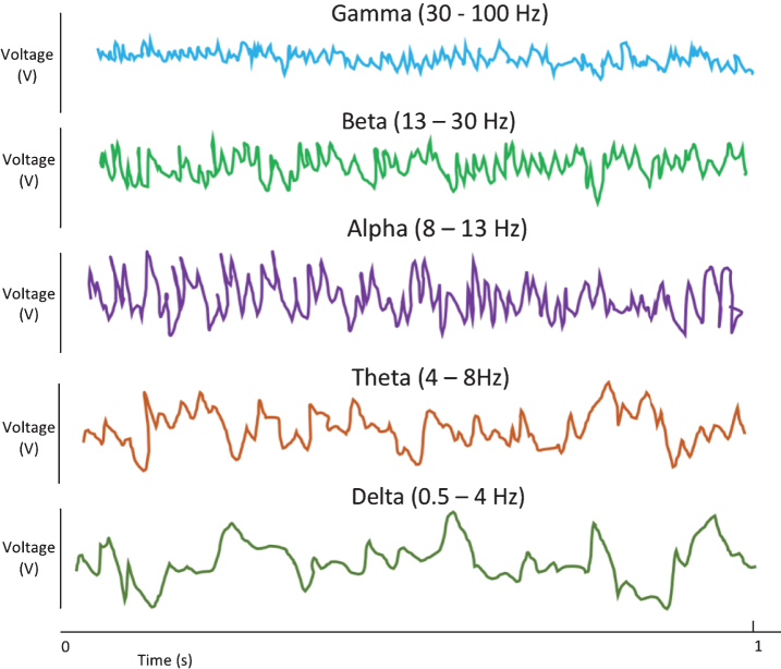 Fig.2