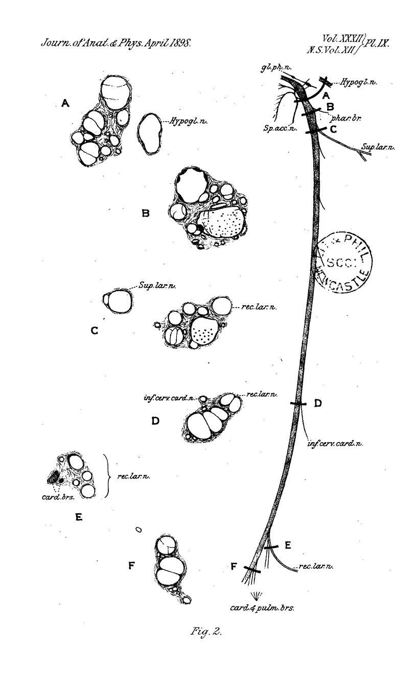 426-3