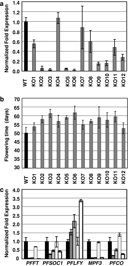 Fig. 4