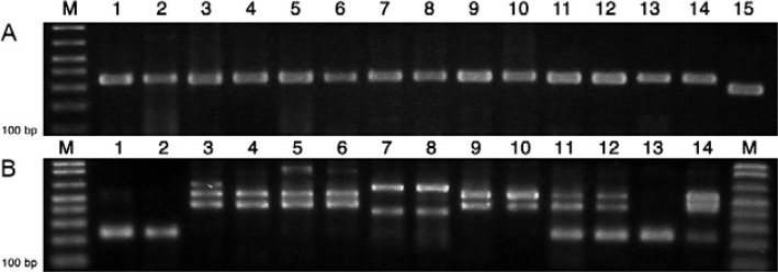 Fig. 1: