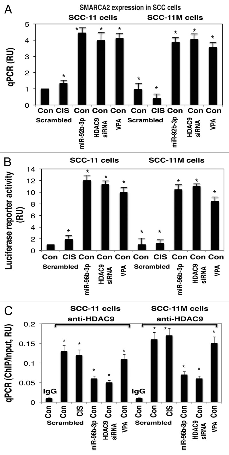 Figure 4. 