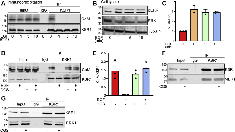 Figure 7