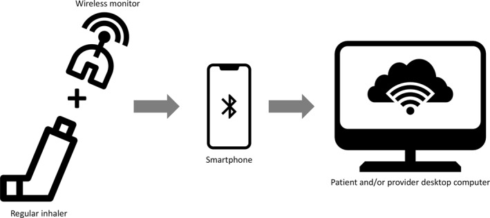 FIGURE 2