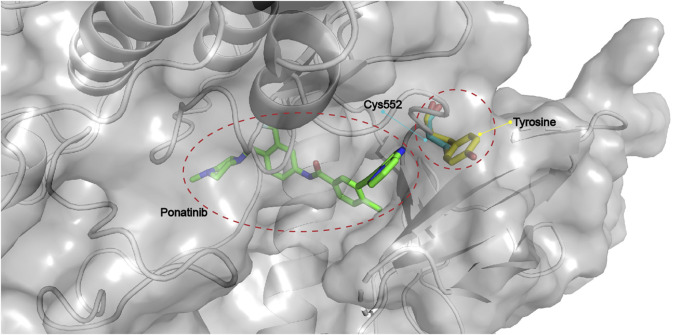 FIGURE 11