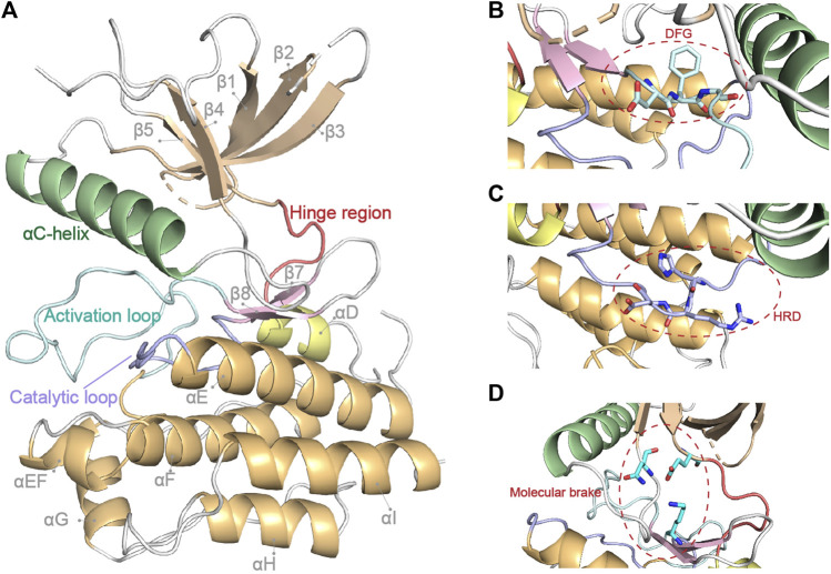 FIGURE 2