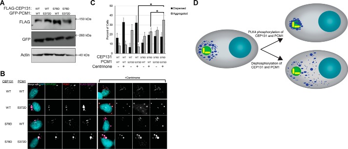 Figure 10.