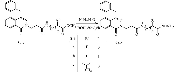 Scheme 5