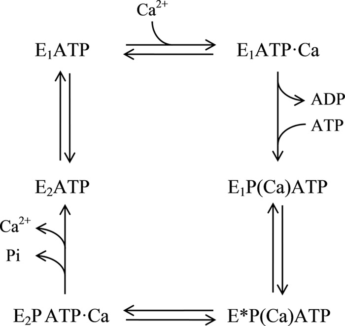 FIGURE 10.