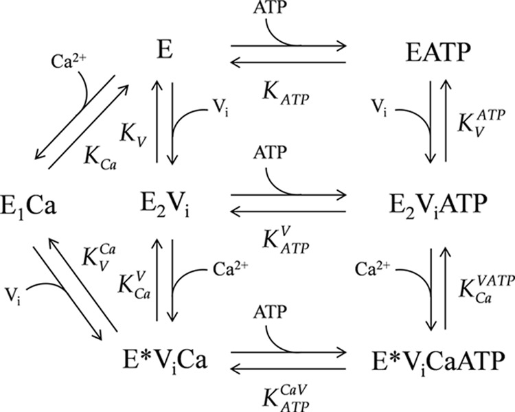 FIGURE 7.