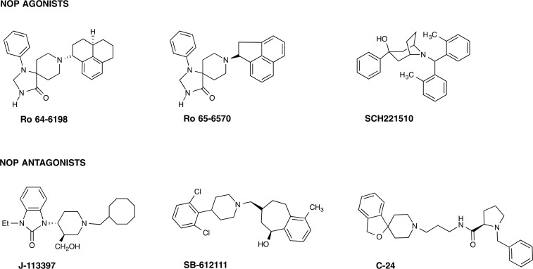 Fig. 8.