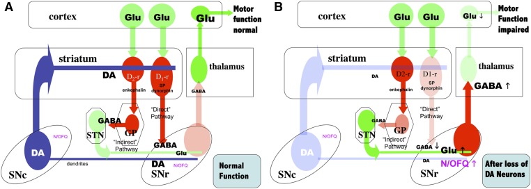 Fig. 7.