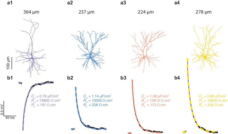 Figure 1—figure supplement 2.