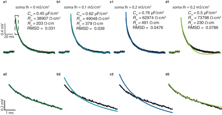 Figure 1—figure supplement 3.