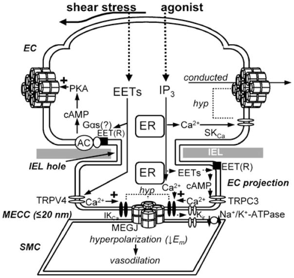 Fig. 2