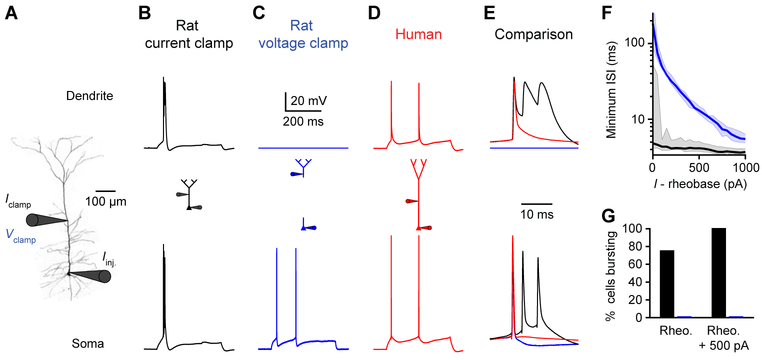 Figure 6.