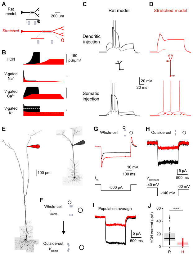 Figure 7.