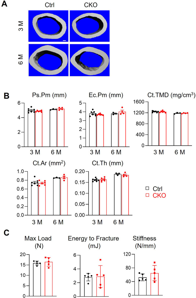 Figure 2—figure supplement 2.