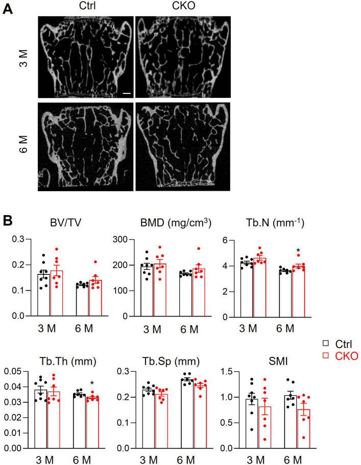 Figure 2—figure supplement 3.