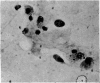 384-1