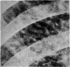384-1