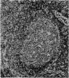 384-2