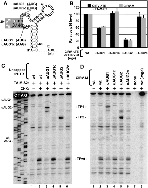 FIGURE 11.