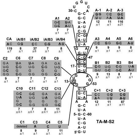 FIGURE 4.