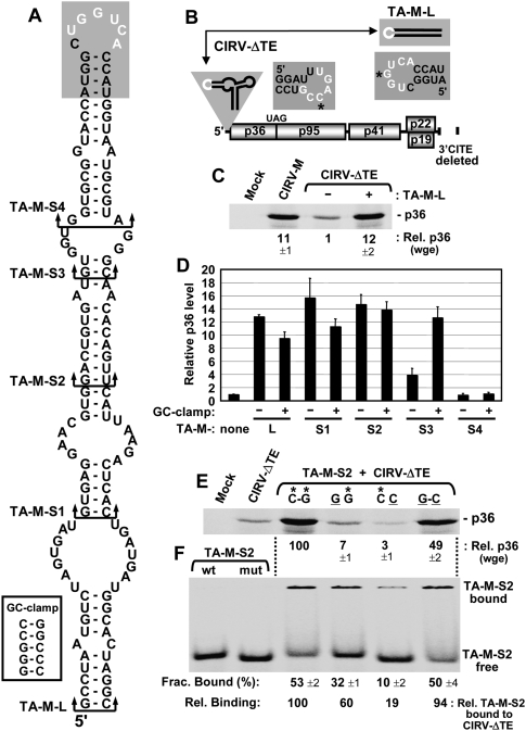 FIGURE 2.