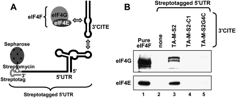 FIGURE 9.