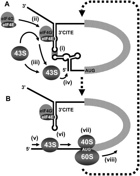 FIGURE 13.