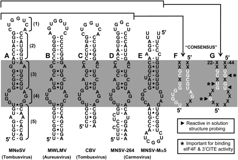 FIGURE 12.