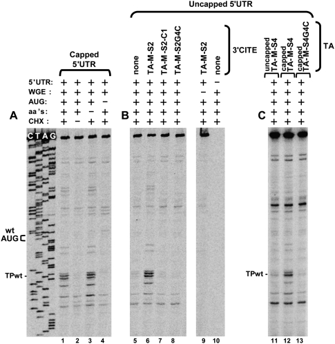 FIGURE 10.