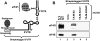 FIGURE 9.