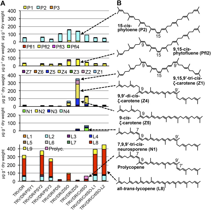 Figure 6.