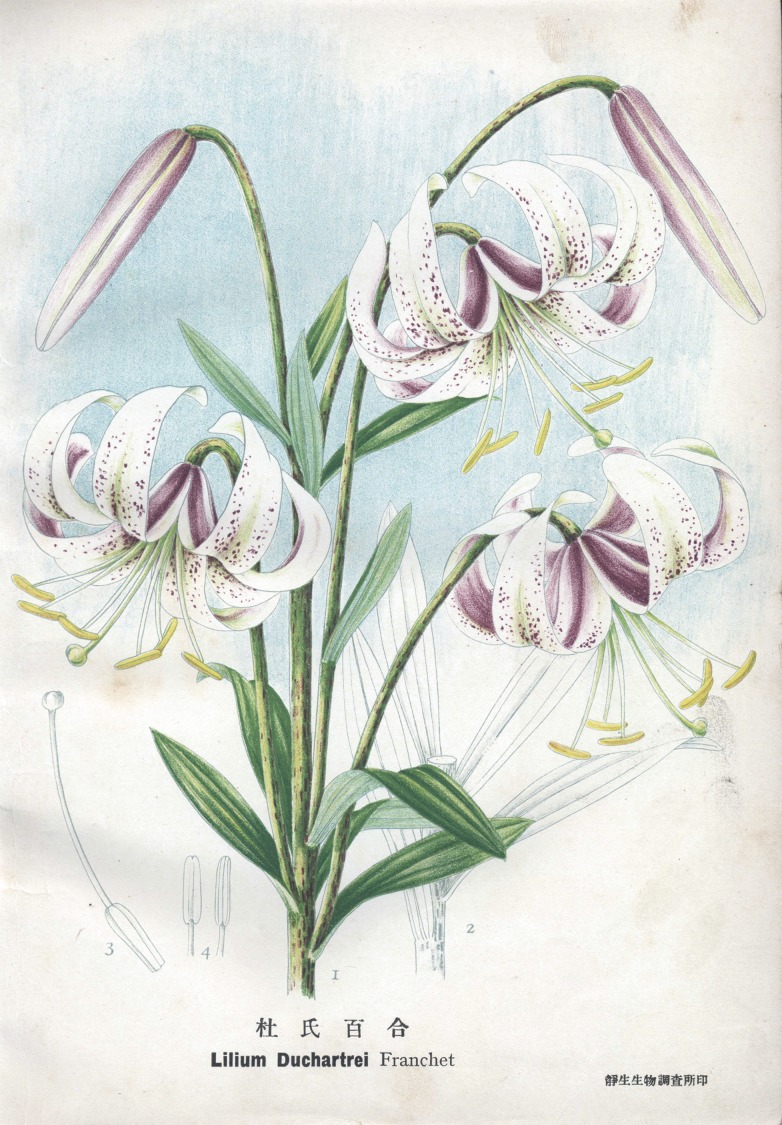 Figure 2
