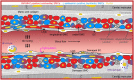 Graphical Abstract
