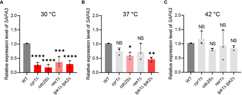 Figure 4