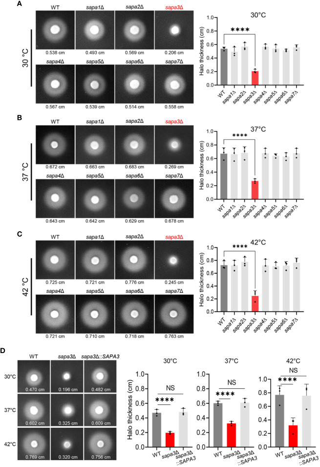 Figure 3