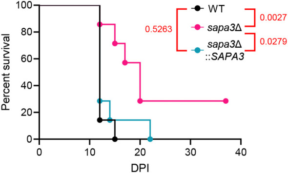 Figure 6