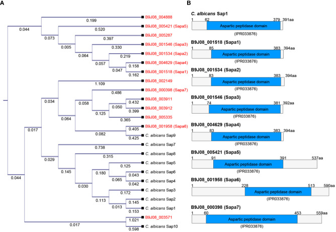 Figure 2