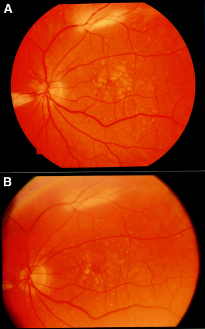 Figure 1  