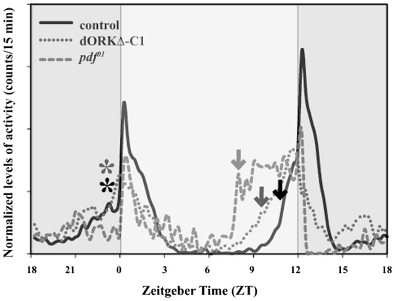 FIGURE 3