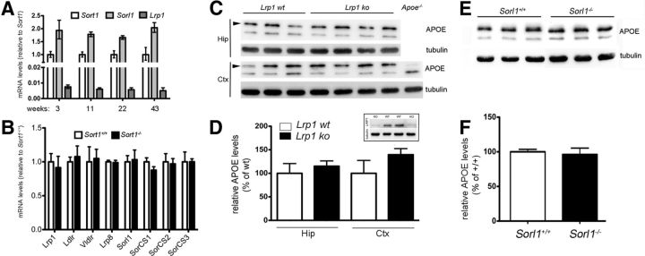 Figure 12.