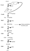 FIG. 1