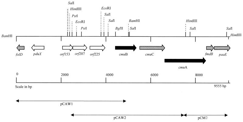 FIG. 3