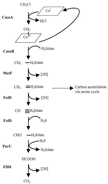 FIG. 1