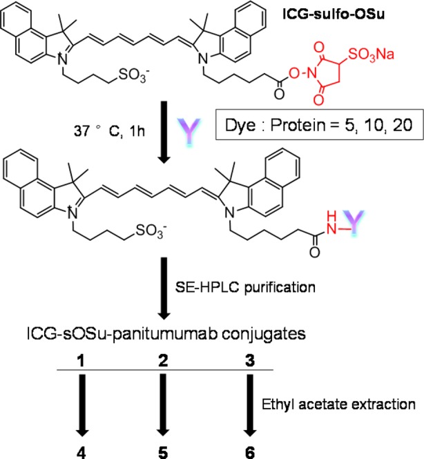 Scheme 1